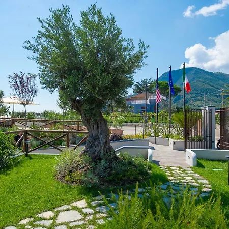 Panzió Paradise