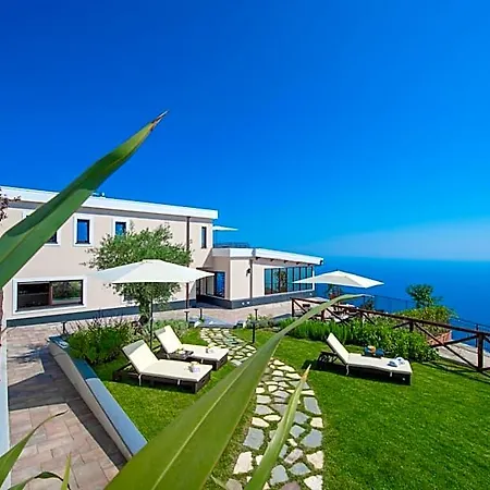 Paradise 4*